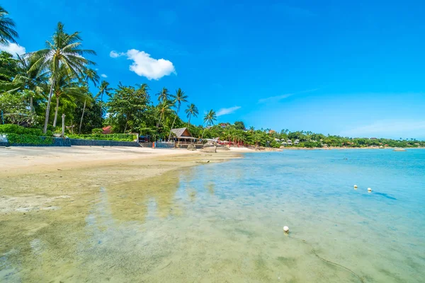 Schöner Tropischer Strand Meer Und Sand Mit Kokospalmen Blauen Himmel — Stockfoto