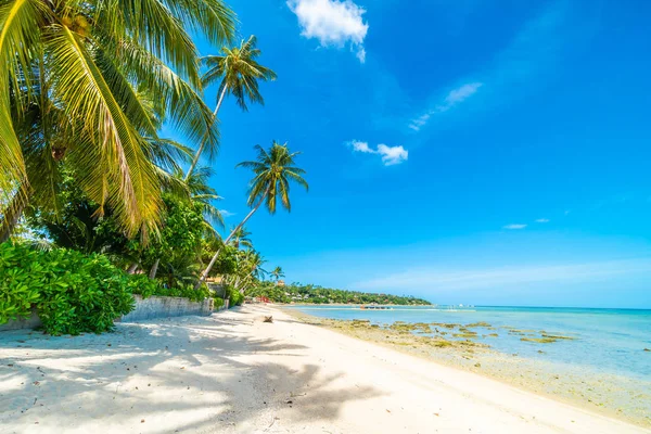 Beautiful Tropical Beach Sea Sand Coconut Palm Tree Blue Sky — Stock Photo, Image