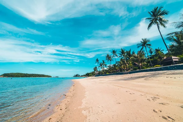 Belle Plage Tropicale Mer Sable Avec Cocotier Sur Ciel Bleu — Photo