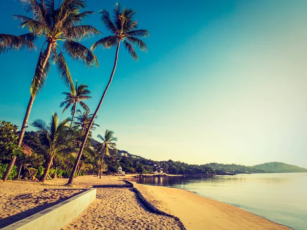 Bella Spiaggia Tropicale Mare Con Palma Cocco Viaggi Vacanze — Foto Stock