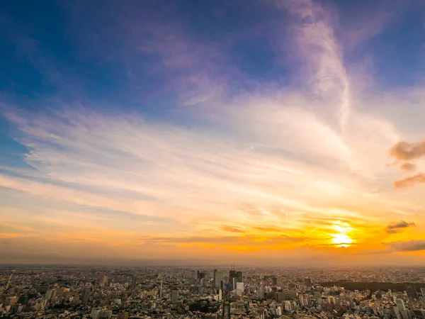 Красиві Пташиного Польоту Архітектурно Будівельні Навколо Місто Токіо Sunset Час — стокове фото