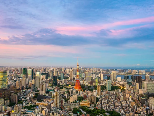 Japonya'da günbatımı zaman şehirde bina mimari ve tokyo kule güzel havadan görünümü