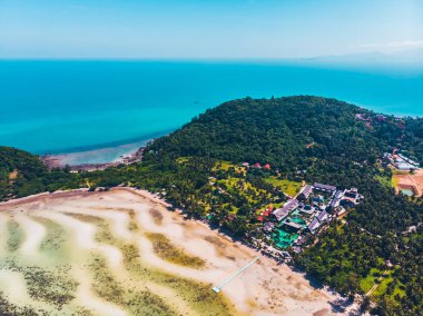 Seyahat ve tatil için adada güzel tropikal plaj ve deniz ağaçları ile havadan görünümü