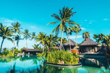 Hindistan cevizi hurma ağacının etrafında seyahat ve tatil için deniz ve okyanus görünümü ile güzel açık yüzme havuzu