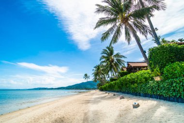 Güzel tropikal plaj deniz ve kum mavi gökyüzü ve beyaz bulut seyahat ve tatil için Hindistan cevizi hurma ağacı ile