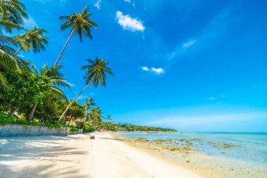 Güzel tropikal plaj deniz ve kum mavi gökyüzü ve beyaz bulut seyahat ve tatil için Hindistan cevizi hurma ağacı ile