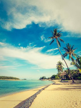 Güzel tropikal plaj ve deniz ile Hindistan cevizi hurma ağacının seyahat ve tatil