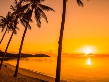 Güzel tropikal plaj deniz ve okyanus ile Hindistan cevizi hurma ağacı gündoğumu zaman seyahat ve tatil için
