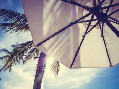 Hindistan cevizi hurma ağacı ile deniz okyanus seyahat ve tatil için mavi gökyüzü arka plan üzerinde Beyaz şemsiye