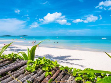 Güzel tropikal plaj deniz ve okyanus seyahat etmek ve kopya alanı ile tatil için