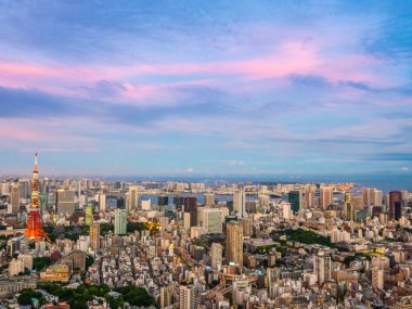 Japonya'da günbatımı zaman şehirde bina mimari ve tokyo kule güzel havadan görünümü