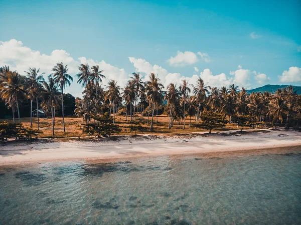 Aerial View Beautiful Tropical Beach Sea Palm Other Tree Koh — Stock Photo, Image