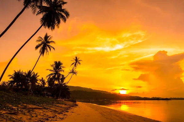 Beautiful Outdoor View Ocean Beach Tropical Coconut Palm Sunrise Time — стоковое фото