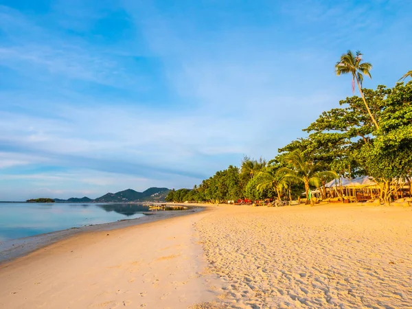 Güzel tropikal plaj ve deniz ile Hindistan cevizi hurma ağacının seyahat ve tatil