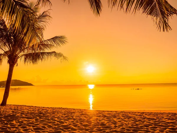 Schöner Tropischer Strand Meer Und Ozean Mit Kokospalmen Bei Sonnenaufgang — Stockfoto