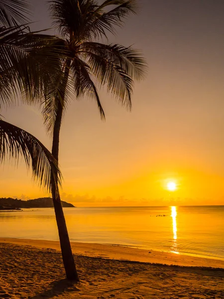 Море Океан Кокосовой Пальмой Восходе Солнца Путешествий Отдыха — стоковое фото