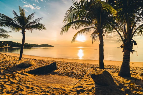 Zachód Słońca Tropikalny Raj Wyspa Plaża Morze Palmy Kokosowe Drzewo — Zdjęcie stockowe