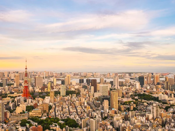 Japonya'da günbatımı zaman şehirde bina mimari ve tokyo kule güzel havadan görünümü