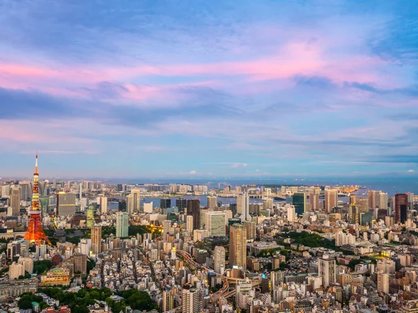 Japonya'da günbatımı zaman şehirde bina mimari ve tokyo kule güzel havadan görünümü