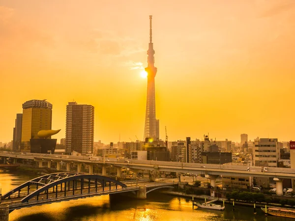 Mimarlık Yapı Tokyo Şehir Japonya Gündoğumu Zaman Çevresinde Ağaç Tokyo — Stok fotoğraf