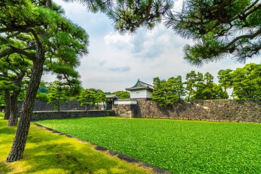 Güzel eski mimari İmparatorluk Sarayı Kalesi hendek ve Tokyo şehir Japonya köprüsünde