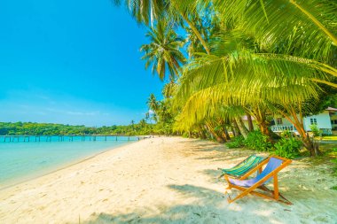 Sandalyenin üstünde güzel tropikal plaj ve deniz ile Hindistan cevizi hurma ağacı Cennet Adası