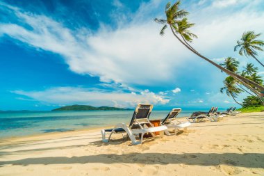 Güzel tropikal plaj ve Hindistan cevizi hurma ağacı ve Cennet Adası sandalyede denize sıfır