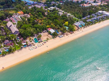 Güzel tropikal plaj ve deniz hurma ve koh samui Adası seyahat ve tatil için diğer ağacında havadan görünümü