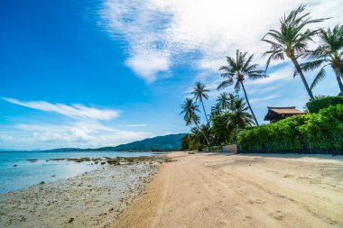 Güzel tropikal plaj deniz ve kum mavi gökyüzü ve beyaz bulut seyahat ve tatil için Hindistan cevizi hurma ağacı ile
