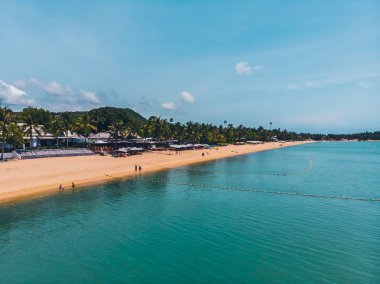 Seyahat ve tatil için adada güzel tropikal plaj ve deniz ağaçları ile havadan görünümü