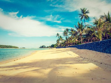 Güzel tropikal plaj ve deniz ile Hindistan cevizi hurma ağacının seyahat ve tatil