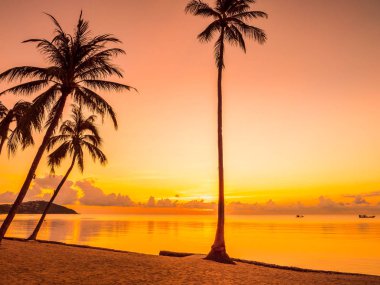 Güzel tropikal plaj deniz ve okyanus ile Hindistan cevizi hurma ağacı gündoğumu zaman seyahat ve tatil için