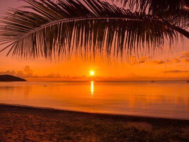 Güzel tropikal plaj deniz ve okyanus ile Hindistan cevizi hurma ağacı gündoğumu zaman seyahat ve tatil için