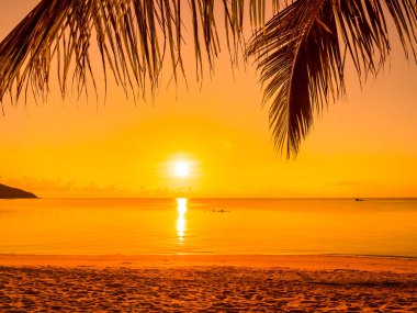 Güzel tropikal plaj deniz ve okyanus ile Hindistan cevizi hurma ağacı gündoğumu zaman seyahat ve tatil için