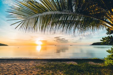 Günbatımı zaman tropik cennet ada plaj ve deniz ile Hindistan cevizi palmiye ağacı üzerinde tatil ve tatil için
