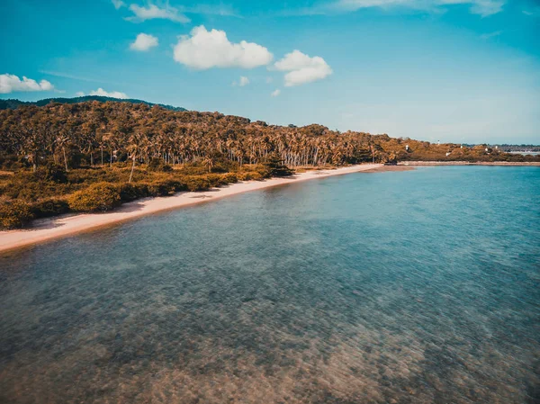 사무이 나무와 바다와 해변의 — 스톡 사진