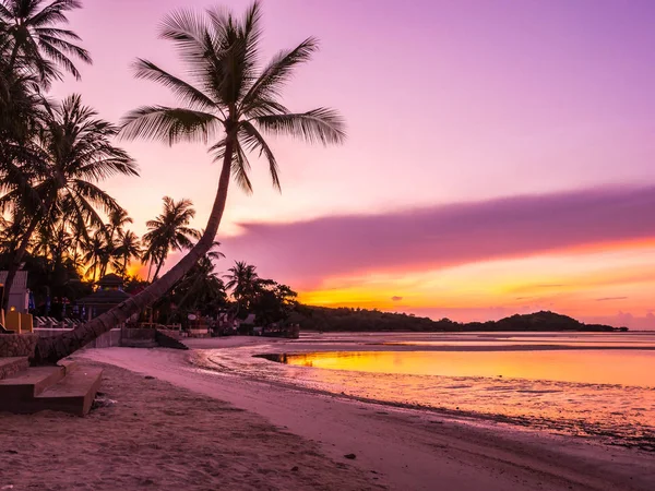 Moře Krásné Tropické Pláže Oceánu Kokosu Palmou Době Východu Slunce — Stock fotografie
