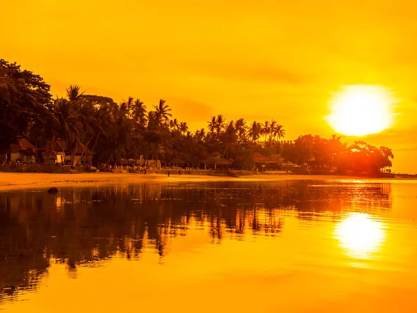 Vacker Tropisk Strand Havet Och Havet Med Coconut Palm Tree — Stockfoto