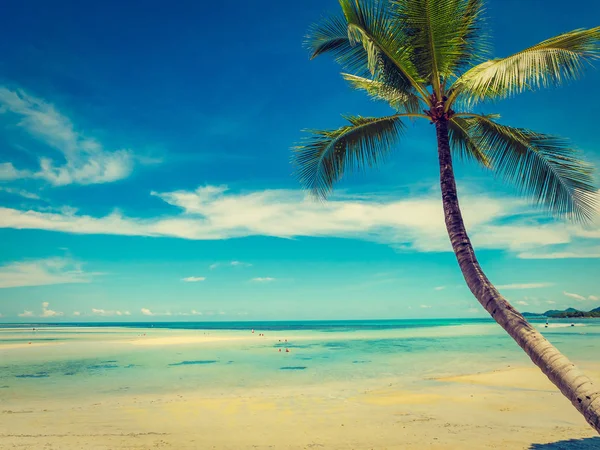 Tropisch Strand Zee Met Coconut Palm Tree Voor Reizen Vakantie — Stockfoto