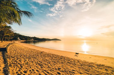 Günbatımı zaman tropik cennet ada plaj ve deniz ile Hindistan cevizi palmiye ağacı üzerinde tatil ve tatil için