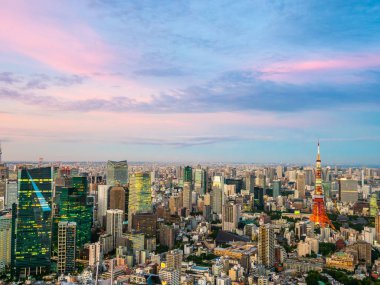 Japonya'da günbatımı zaman şehirde bina mimari ve tokyo kule güzel havadan görünümü
