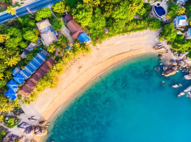 Güzel tropikal plaj ve deniz hurma ve koh samui Adası seyahat ve tatil için diğer ağacında havadan görünümü