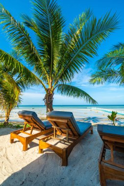 Şemsiye ve sandalye etrafında seyahat ve tatil için Hindistan cevizi hurma ağacı ile güzel açık deniz ve okyanus görmek