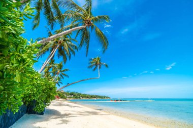 Güzel tropikal plaj deniz ve kum mavi gökyüzü ve beyaz bulut seyahat ve tatil için Hindistan cevizi hurma ağacı ile