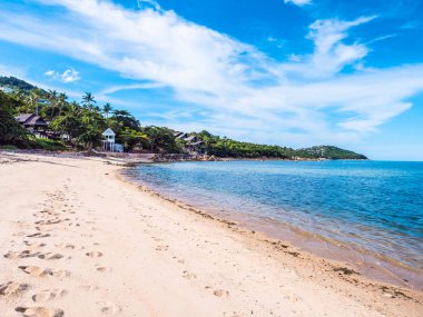 Güzel tropikal plaj ve deniz ile Hindistan cevizi hurma ağacının seyahat ve tatil