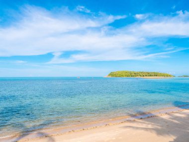 Güzel tropikal plaj ve deniz ile Hindistan cevizi hurma ağacının seyahat ve tatil