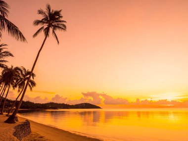 Güzel tropikal plaj deniz ve okyanus ile Hindistan cevizi hurma ağacı gündoğumu zaman seyahat ve tatil için