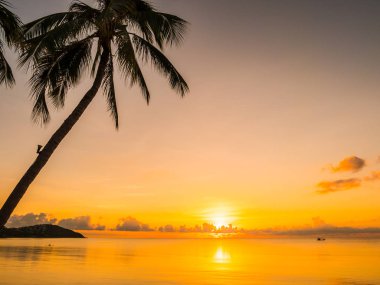 Güzel tropikal plaj deniz ve okyanus ile Hindistan cevizi hurma ağacı gündoğumu zaman seyahat ve tatil için