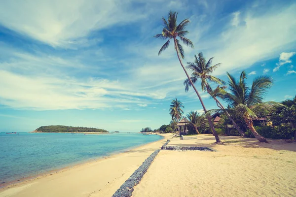 Beautiful Tropical Beach Sea Sand Coconut Palm Tree Blue Sky — Stock Photo, Image