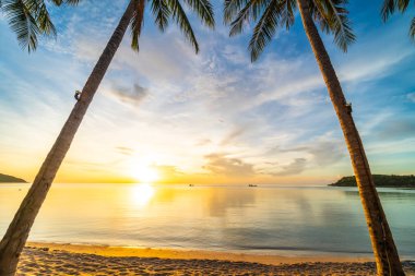 Günbatımı zaman tropik cennet ada plaj ve deniz ile Hindistan cevizi palmiye ağacı üzerinde tatil ve tatil için